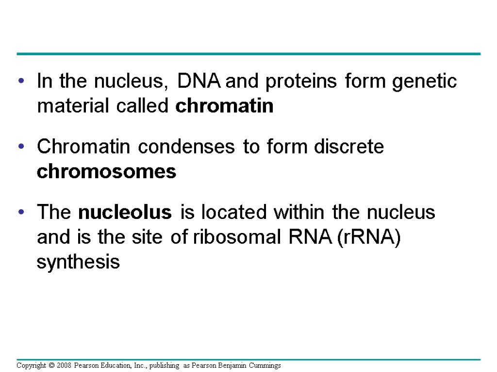 In the nucleus, DNA and proteins form genetic material called chromatin Chromatin condenses to